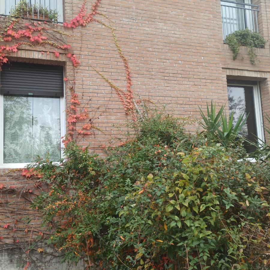 Casa Vincenzo 130 Mq Con Portico Ed Ingresso Esclusivo Dal Giardino Villa Felino Luaran gambar